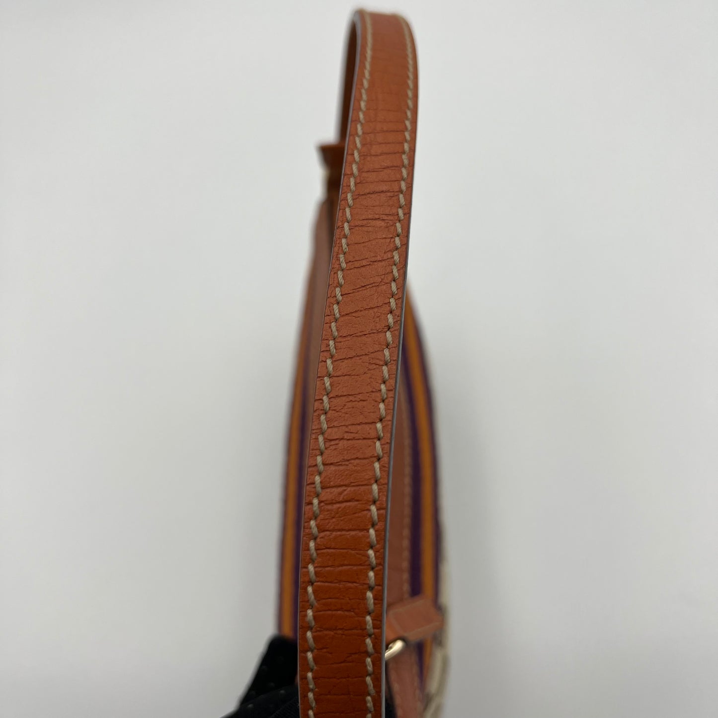 Gucci Brown Monogram Canvas Orange Purple Sherryline Pochette
