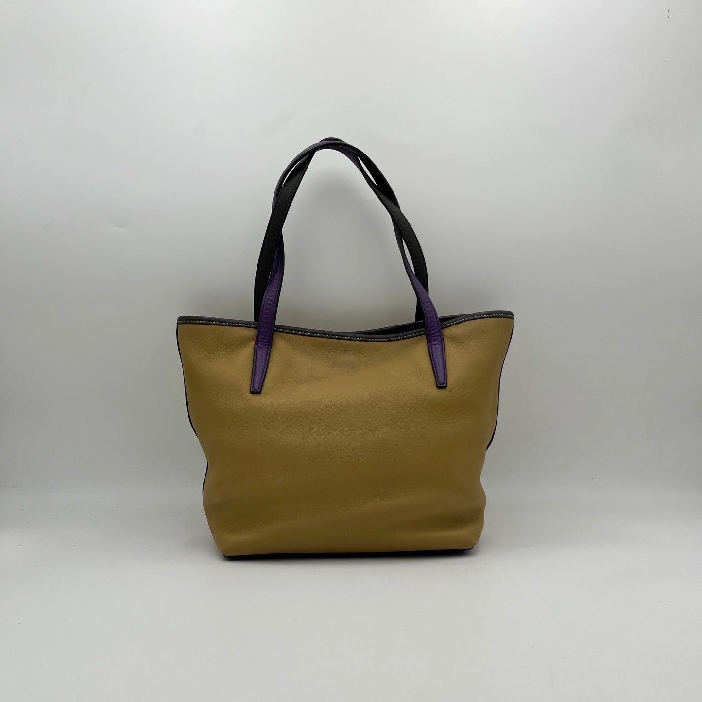 Loewe Brown Anagam Leather Tricolor Tote Bag