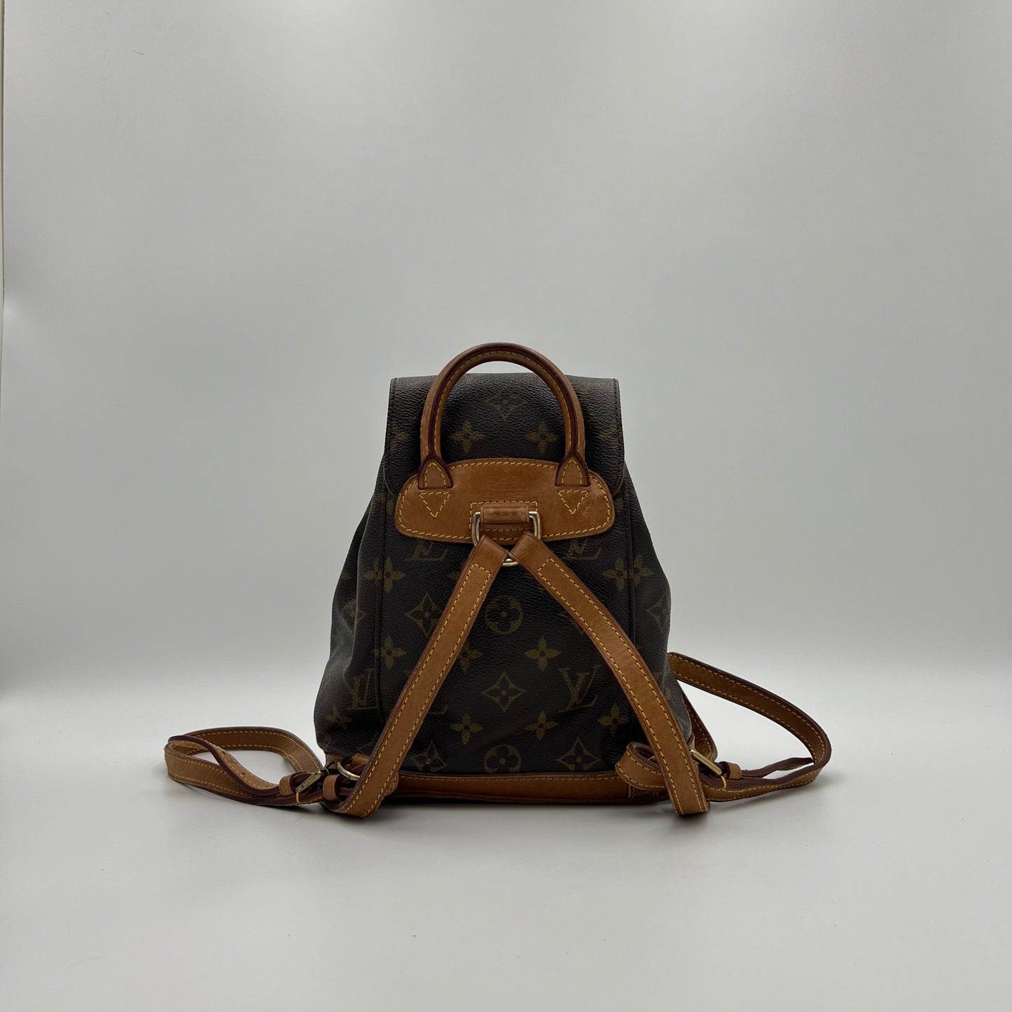 LV Monogram Montsouris PM