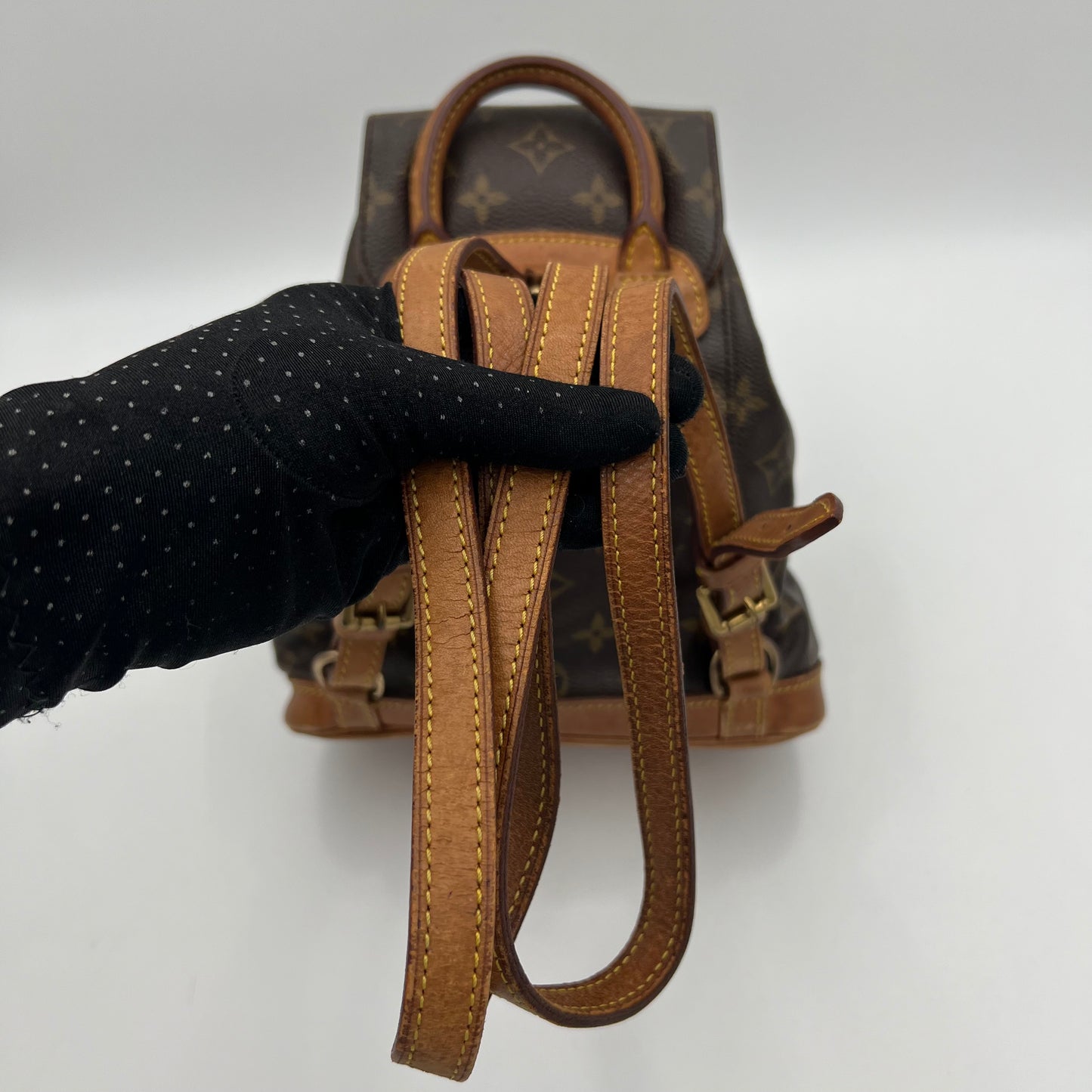 LV Monogram Montsouris PM