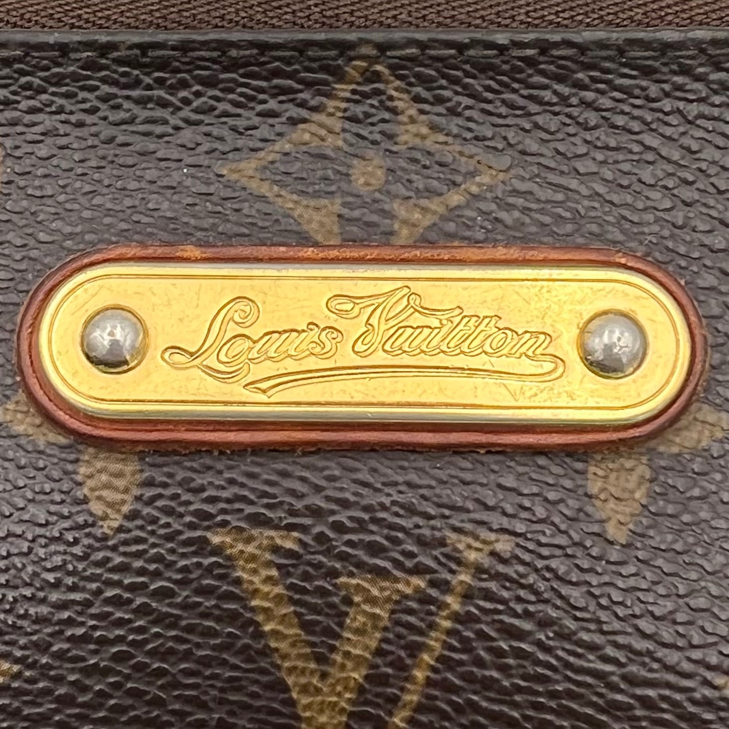 LV Monogram Eva Pochette