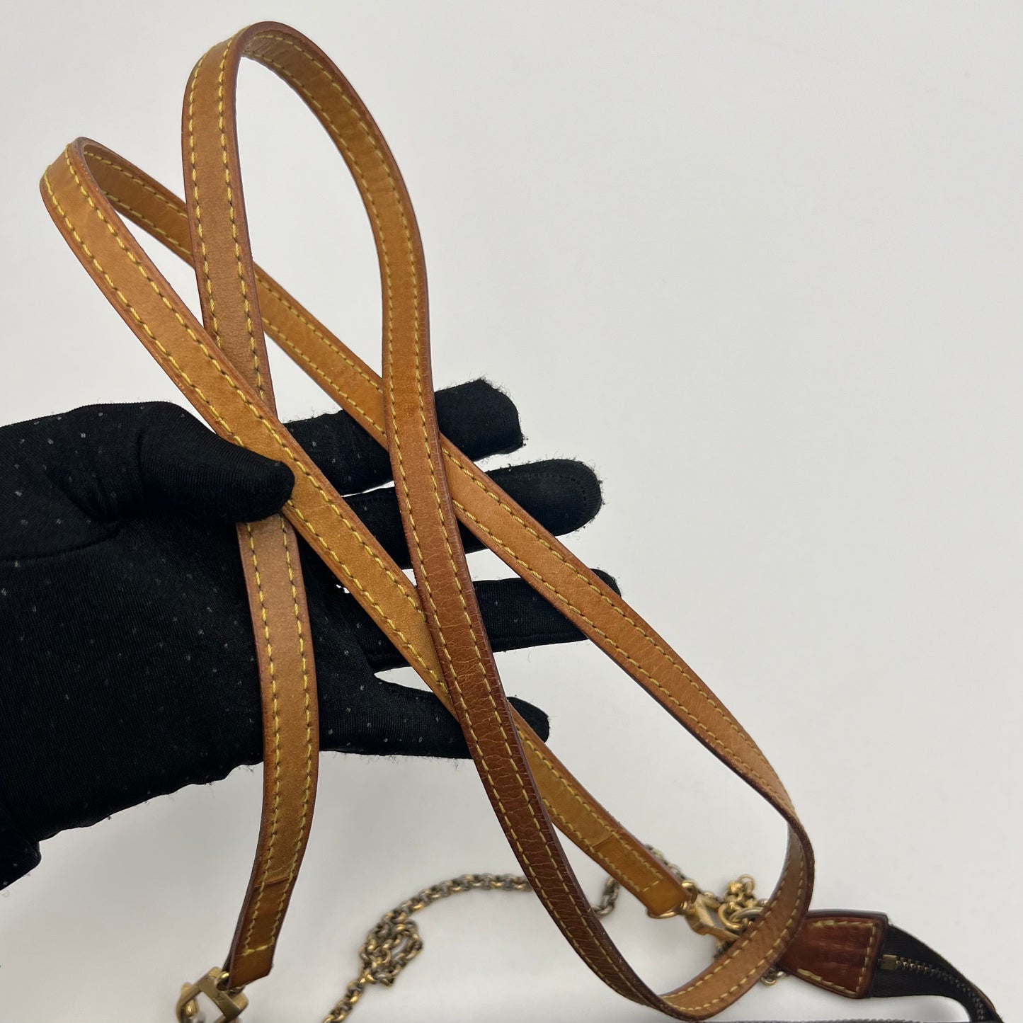 LV Monogram Eva Pochette