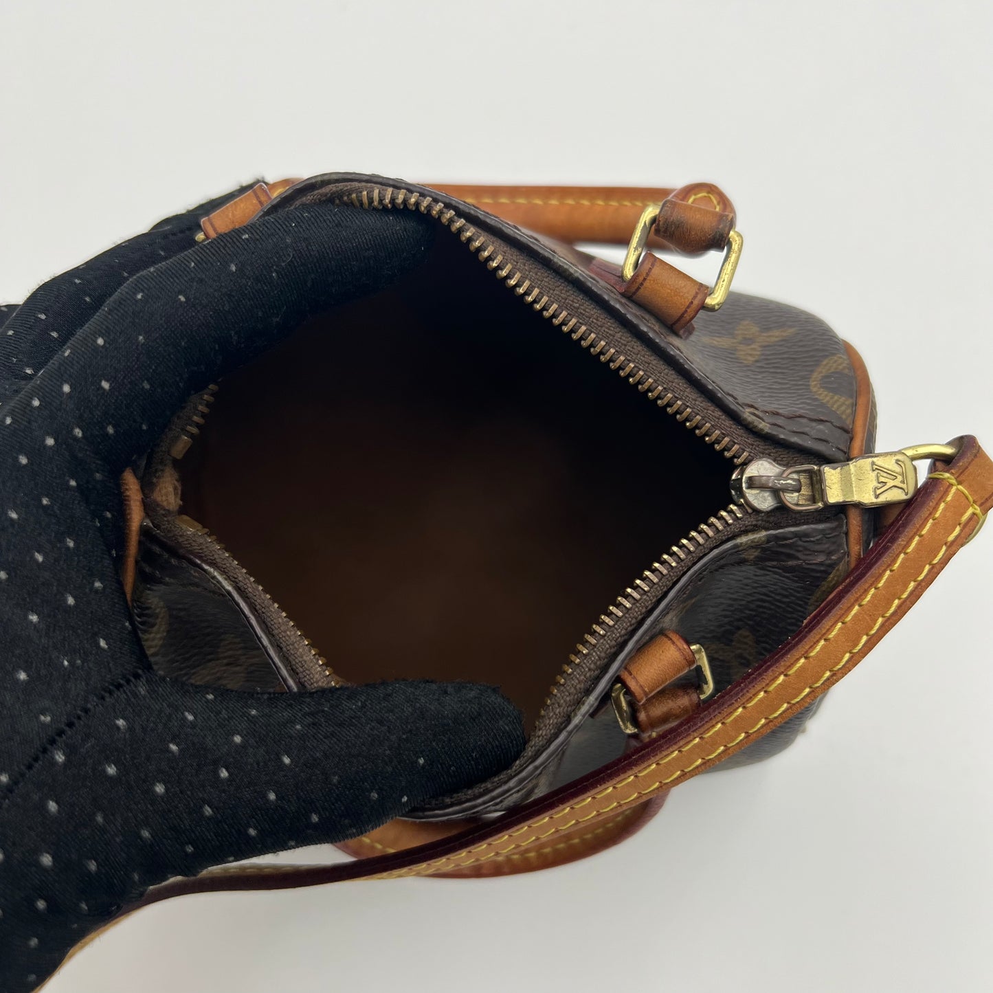 LV Monogram Nano Speedy