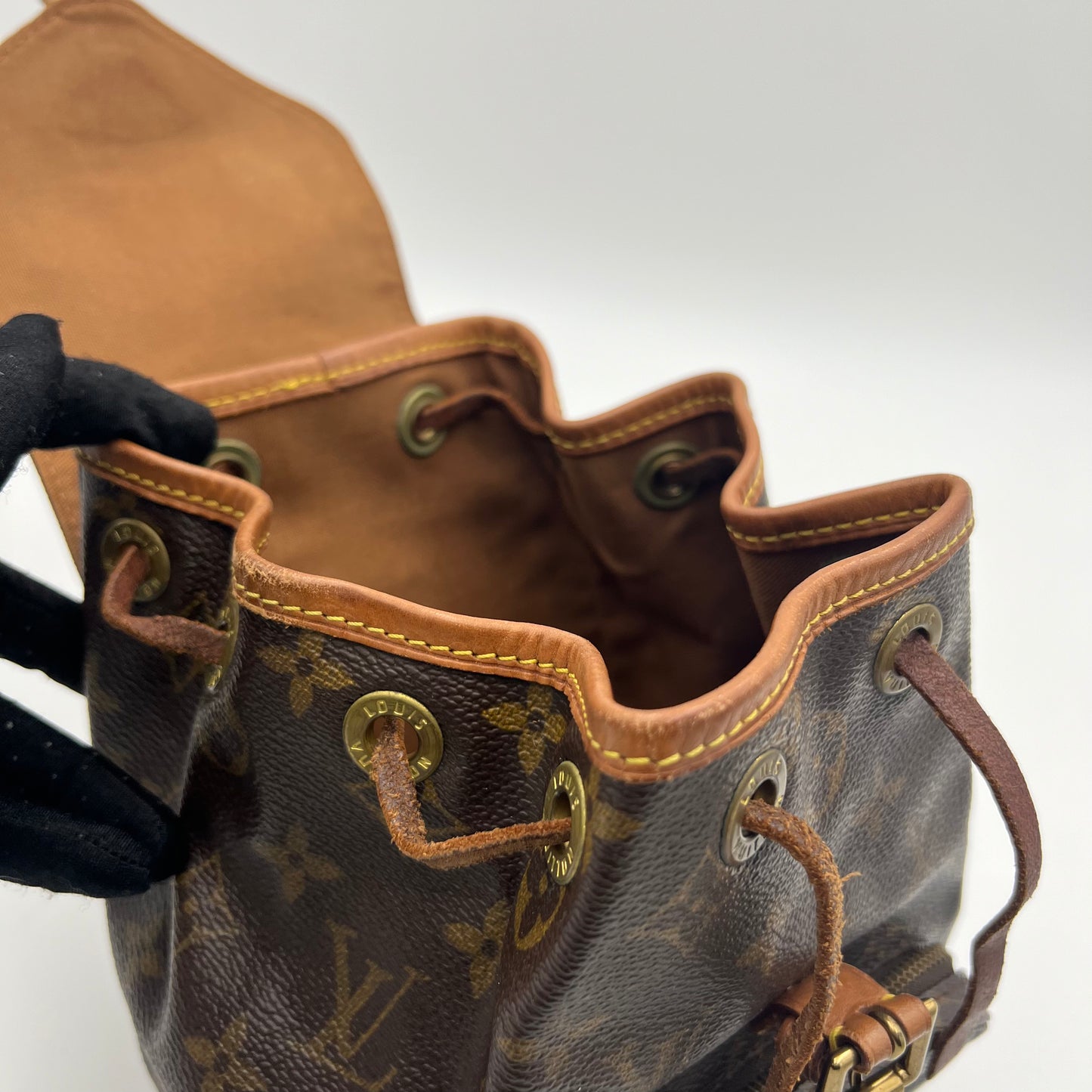 LV Monogram Montsouris PM