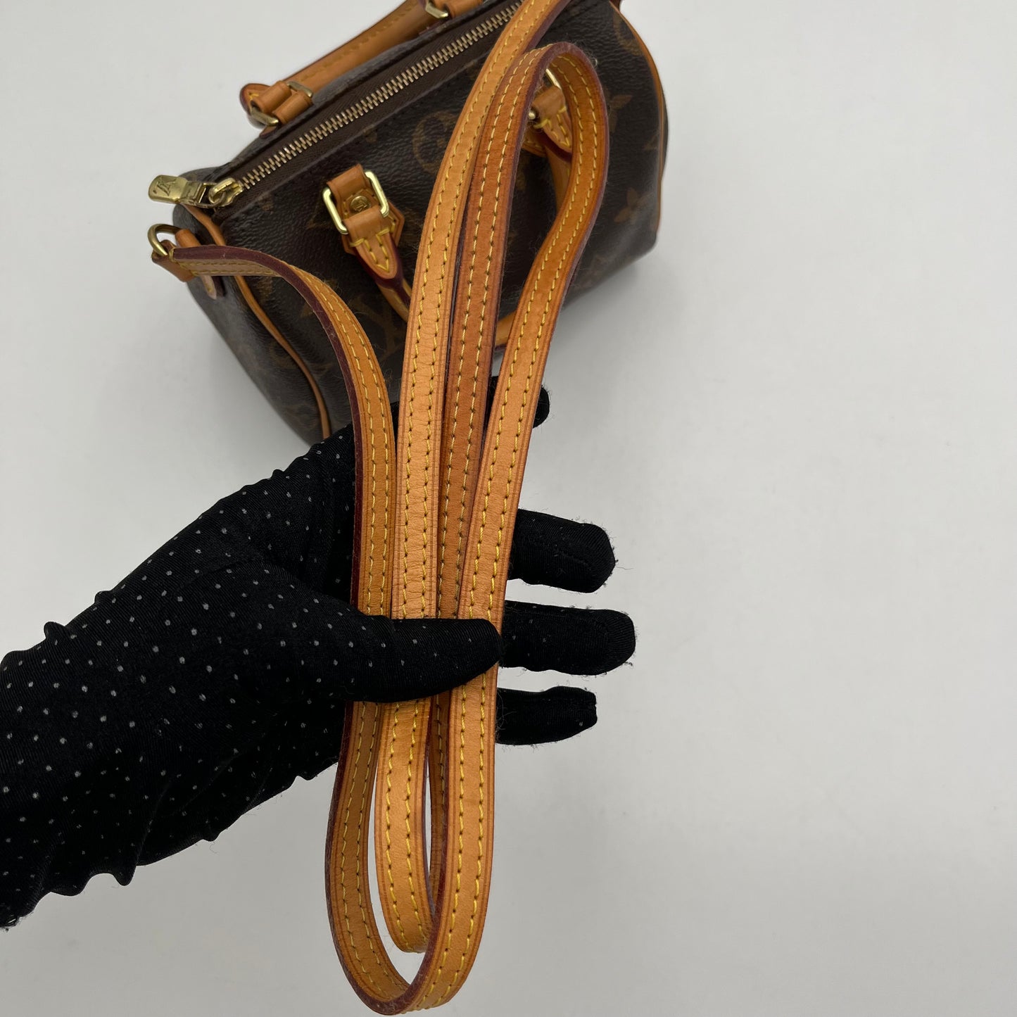 LV Monogram Nano Speedy