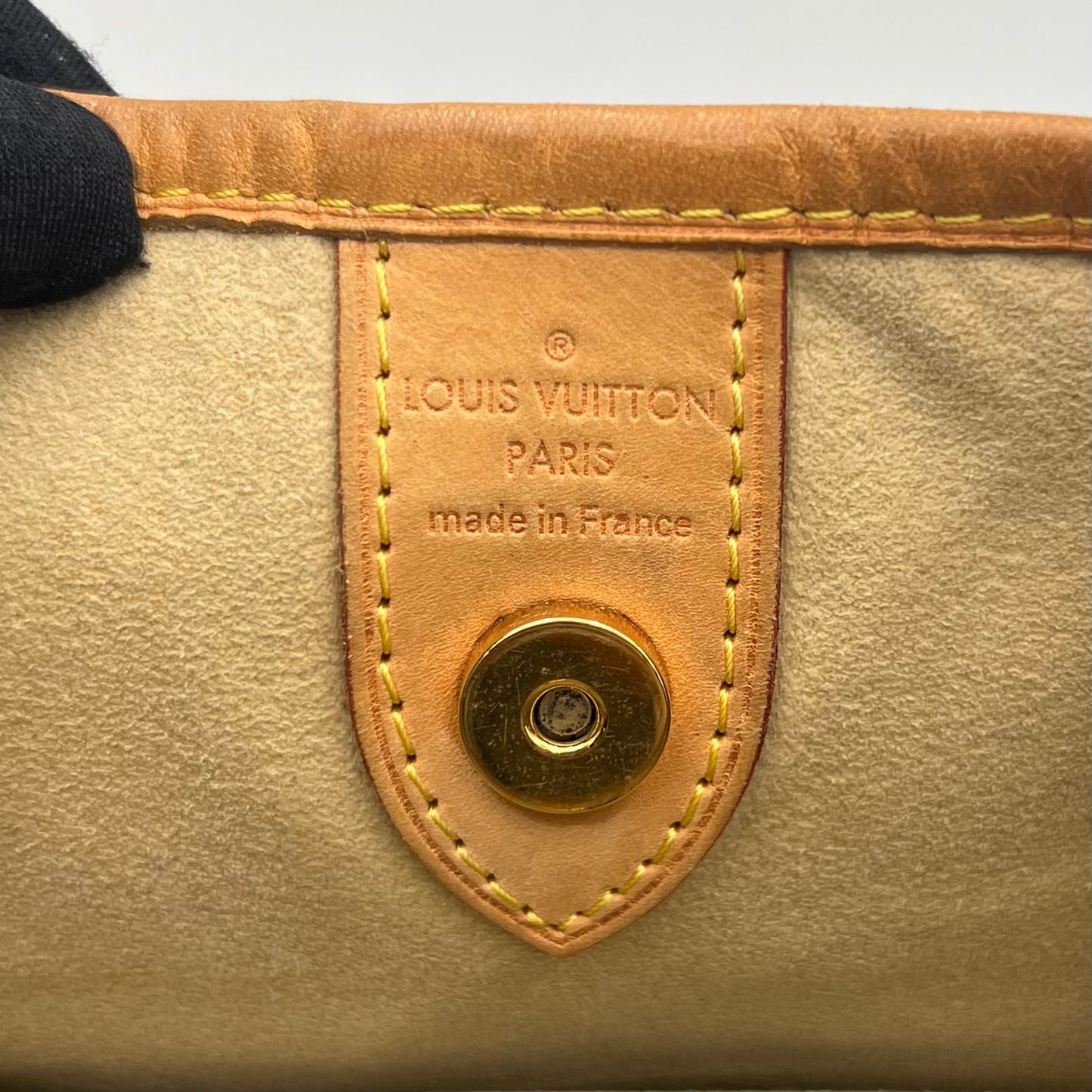 LV Monogram Thames PM