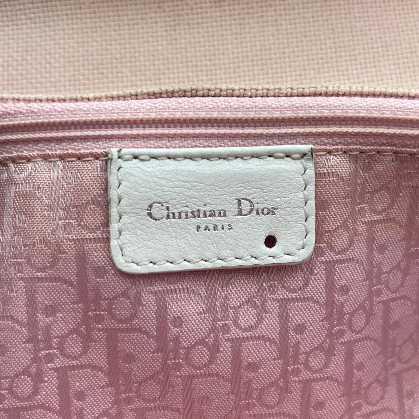 Christian Dior Y2K Pink Logo Trotter Flap Baguette