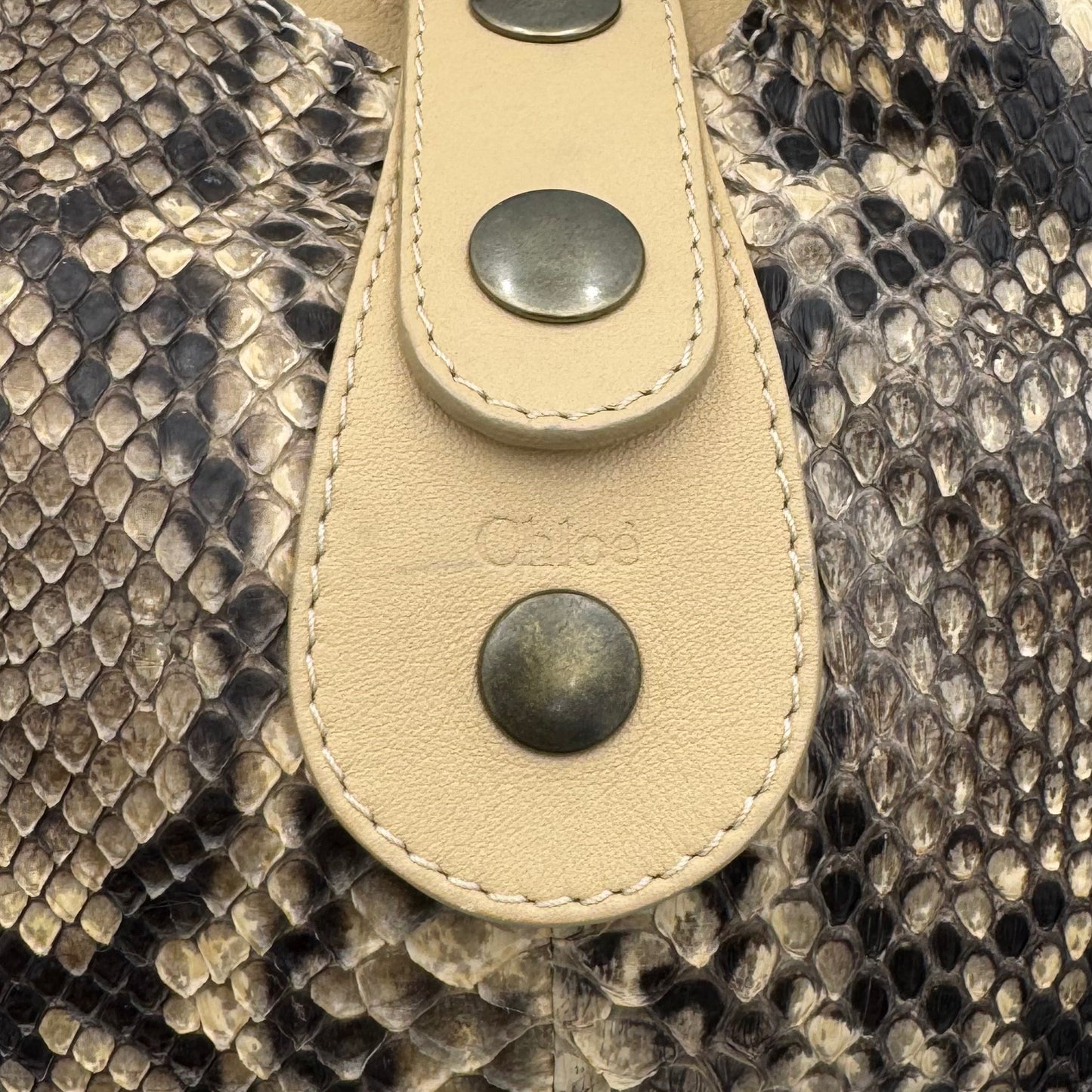 Chloe Beige Python and Leather Large Silverado