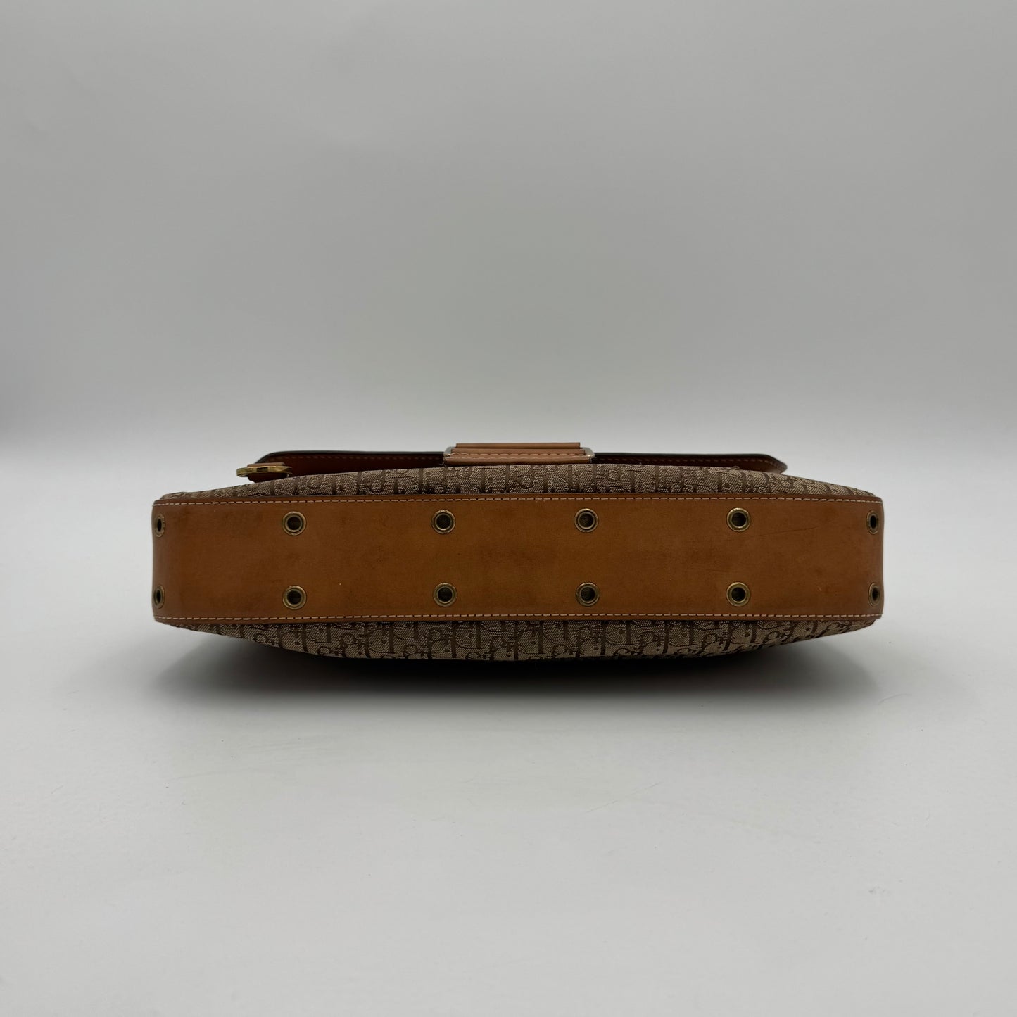 Christian Dior Brown Trotter Canvas and Leather Street Chic Columbus