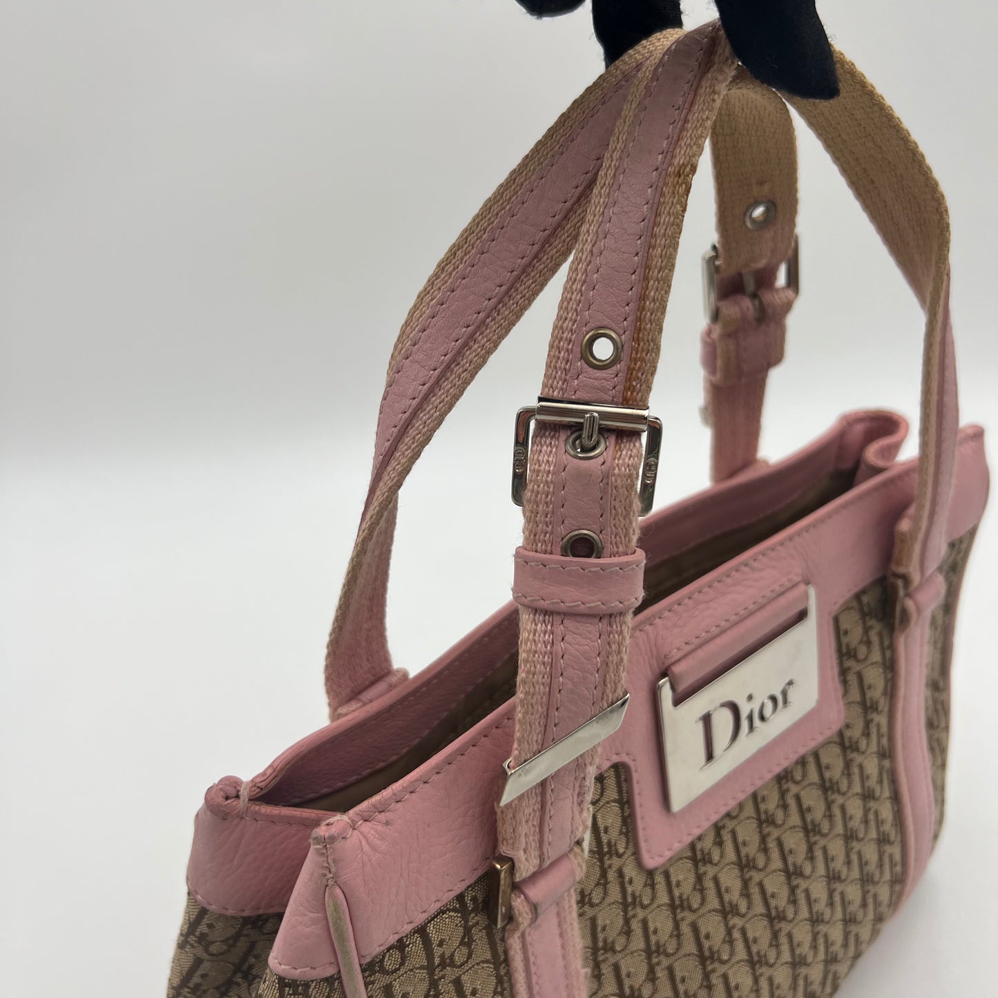 Christian Dior Beige Trotter Canvas Pink Leather Street Chic Small Handbag