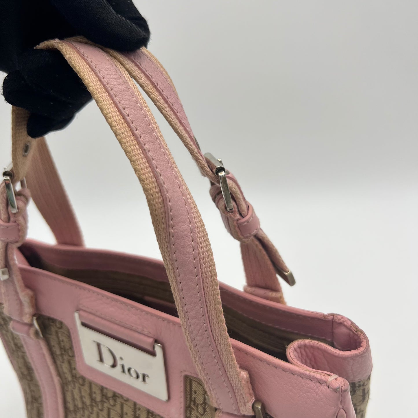 Christian Dior Beige Trotter Canvas Pink Leather Street Chic Small Handbag