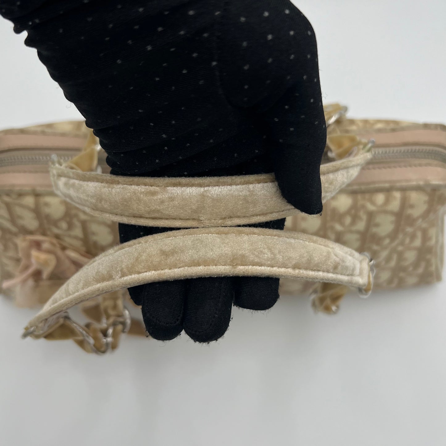 Christian Dior Beige Trotter Romantique Handbag