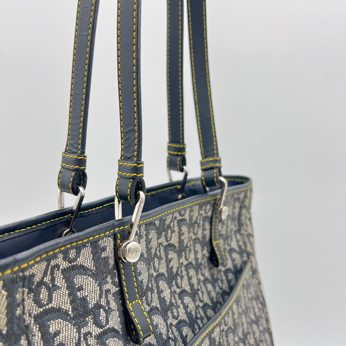 Christian Dior Blue Oblique Canvas Tote