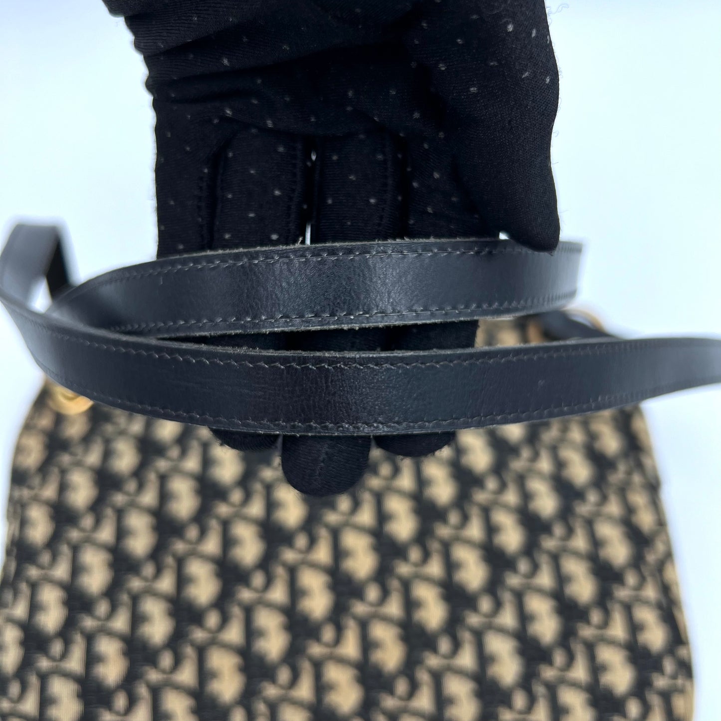 Christian Dior Blue Oblique Canvas CD Double Strap Shoulder Bag