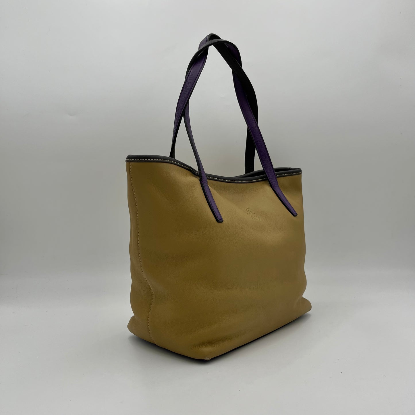 Loewe Brown Anagam Leather Tricolor Tote Bag