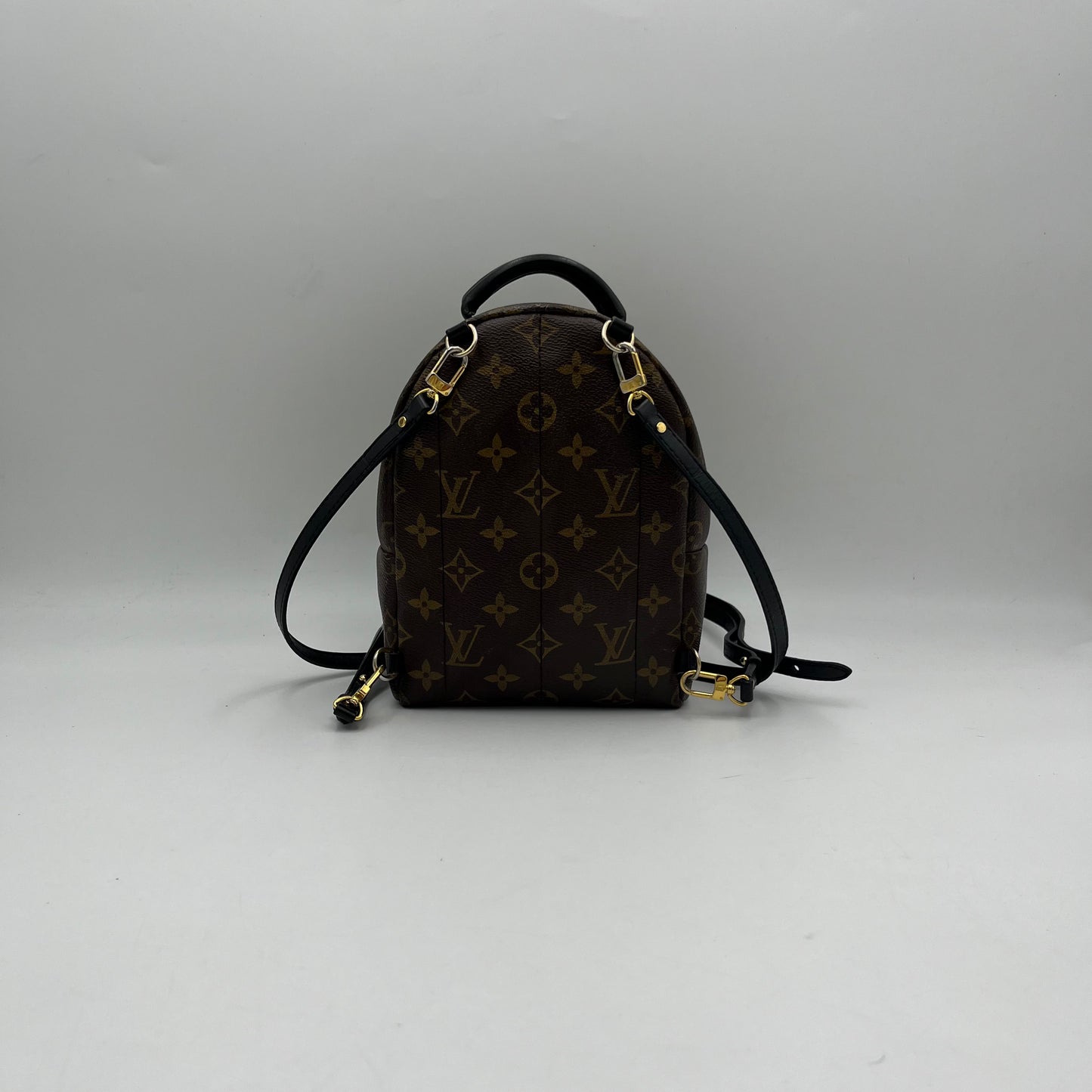 LV Monogram Palm Springs Mini