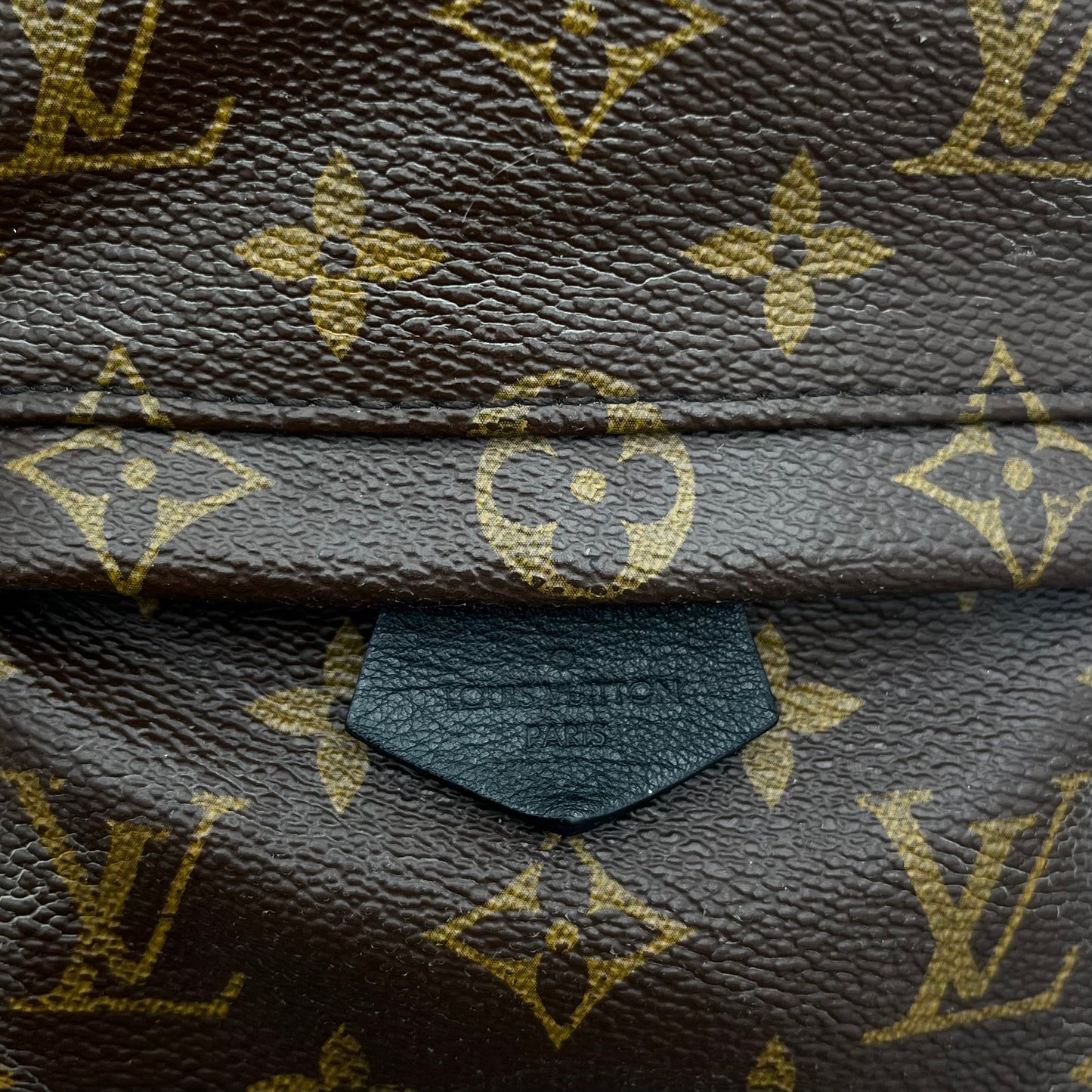 LV Monogram Palm Springs Mini