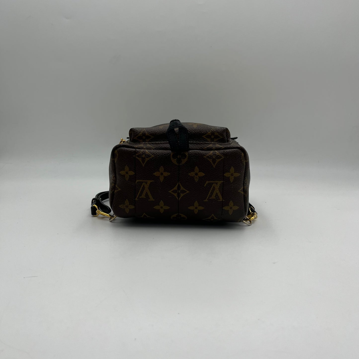 LV Monogram Palm Springs Mini