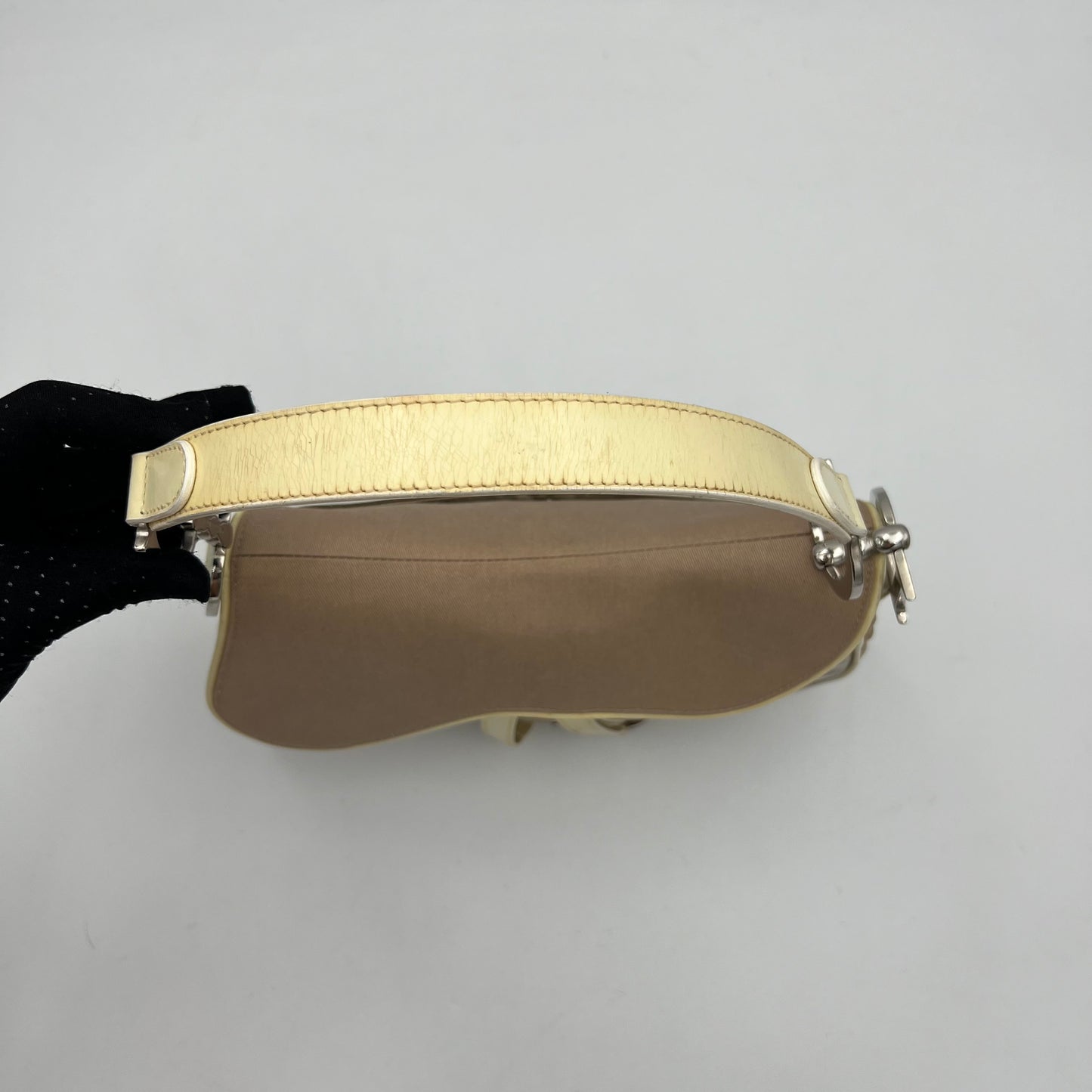 Christian Dior Double Saddle