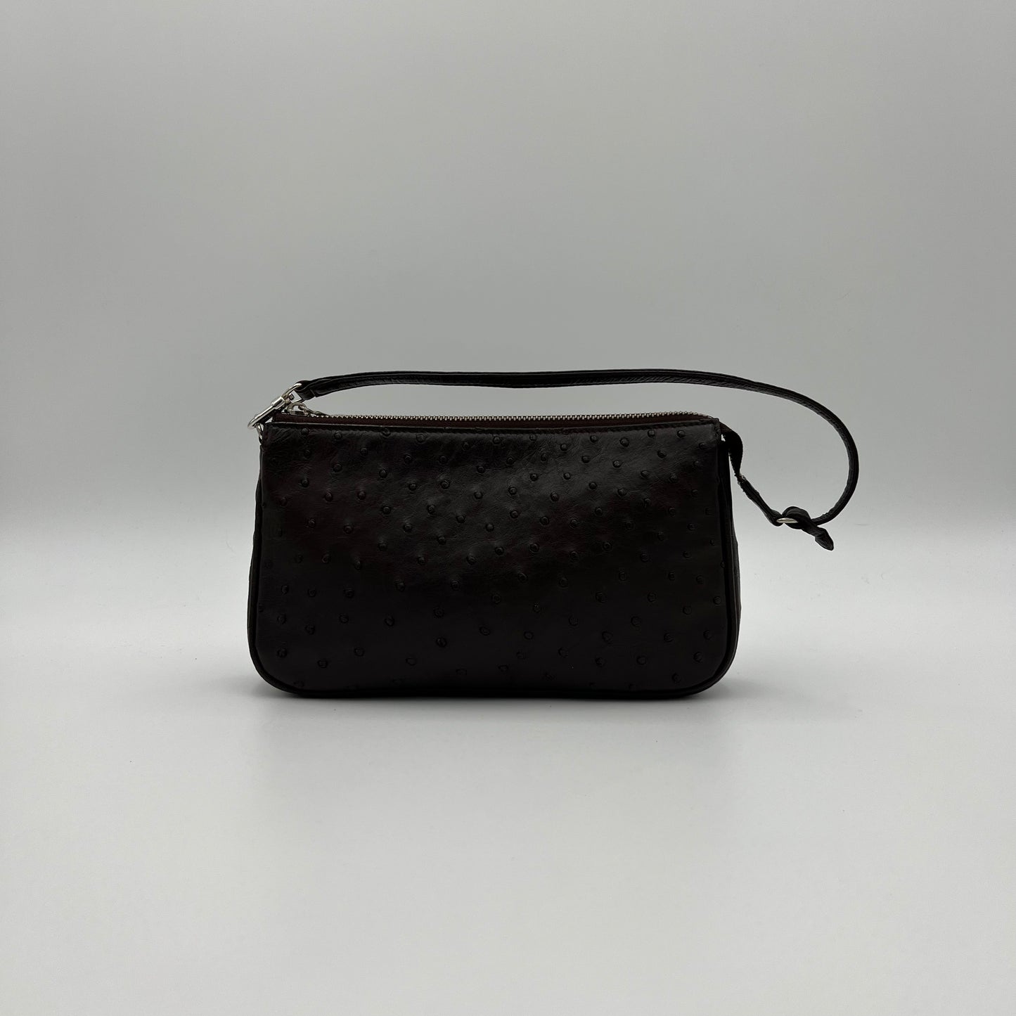 Japan Brown Ostrich Pochette