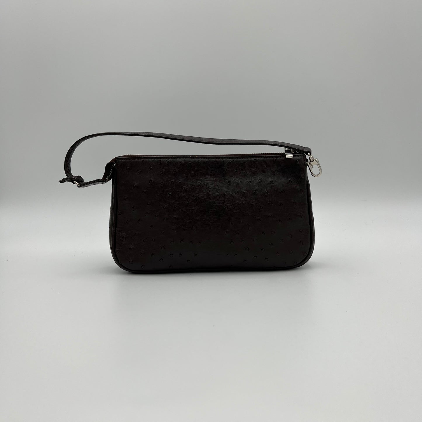Japan Brown Ostrich Pochette