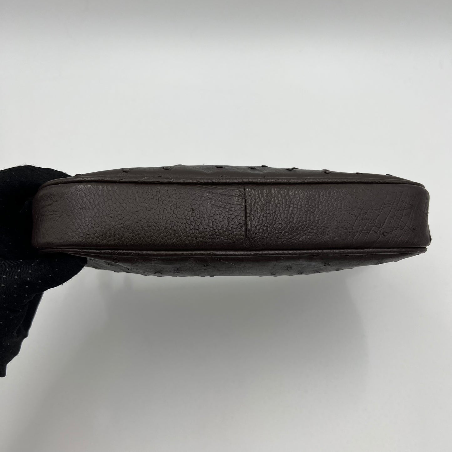 Japan Brown Ostrich Pochette