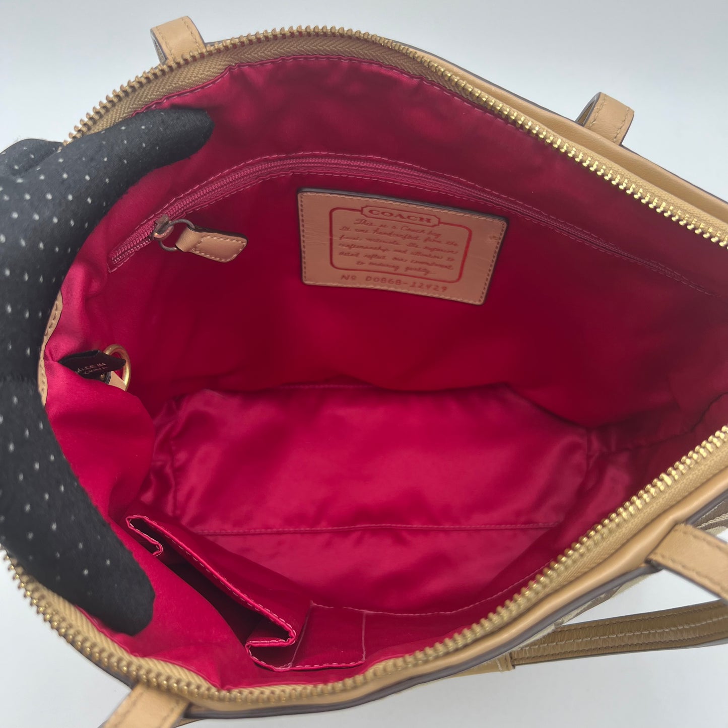 Coach Signature Canvas Khaki Stripe Small Zip Tote