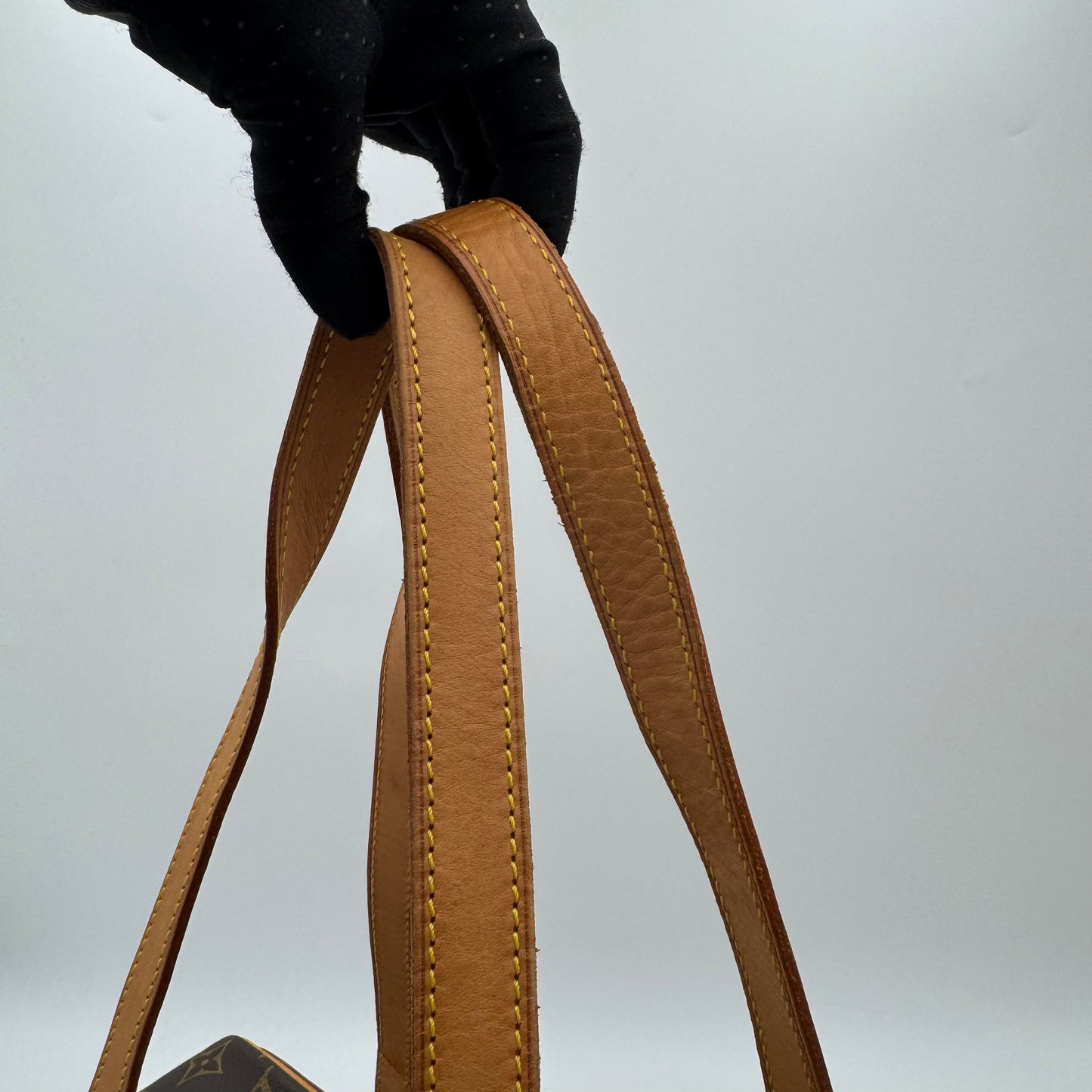 Louis Vuitton Monogram Cite GM