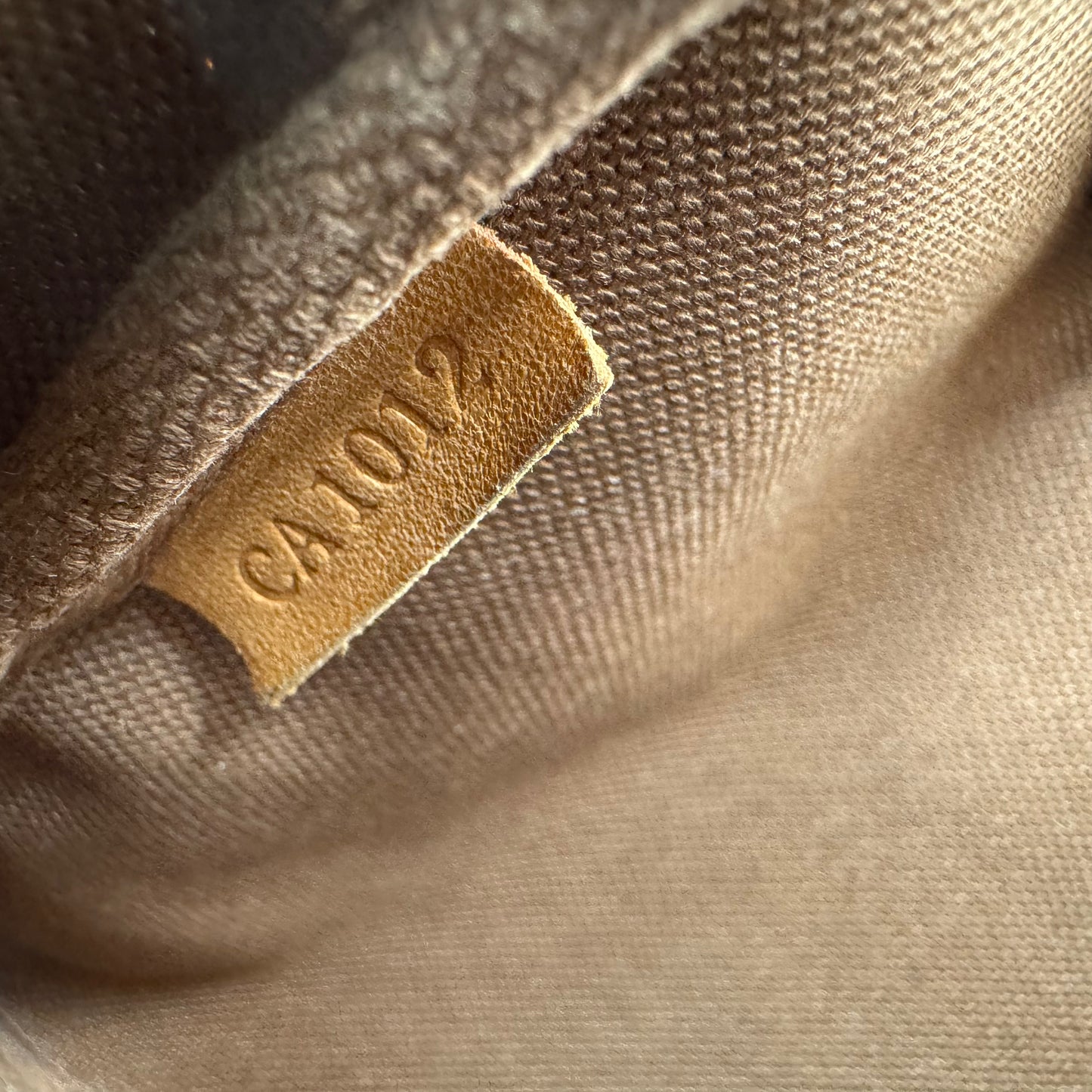 Louis Vuitton Monogram Pochette