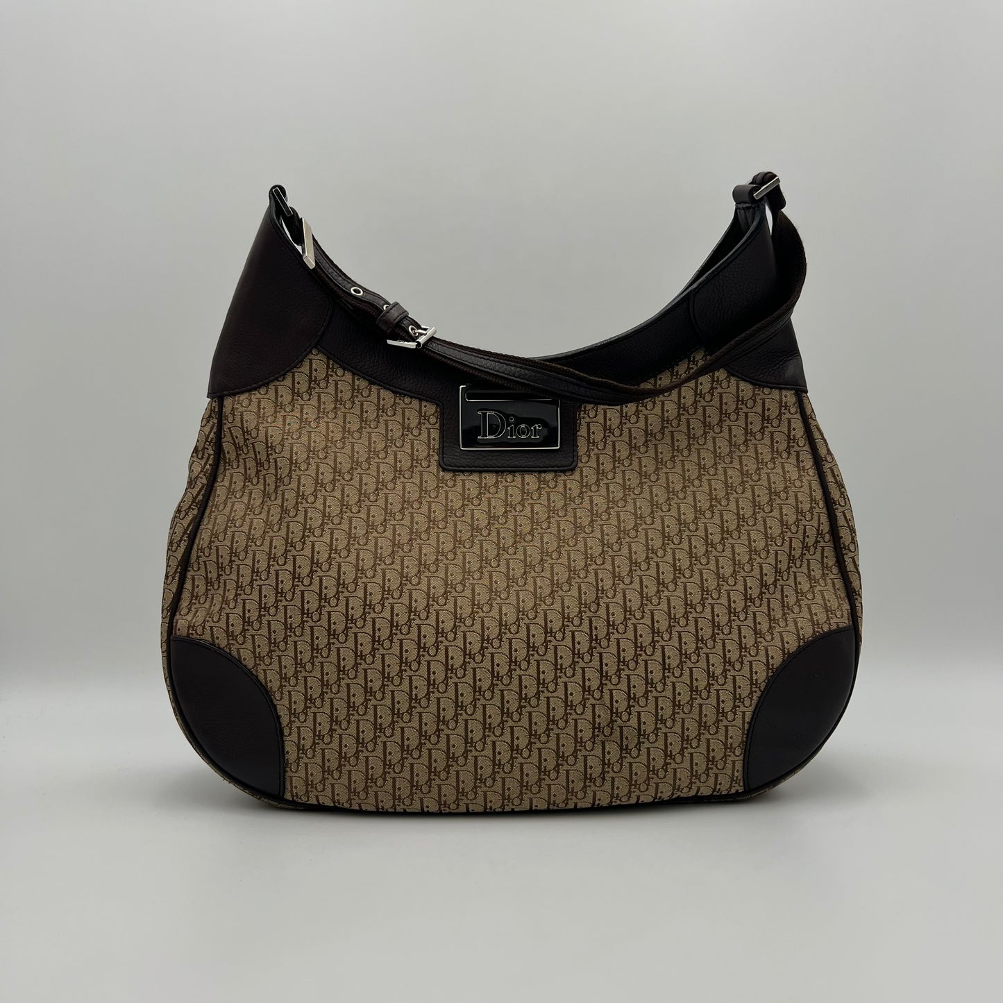 Christian Dior Brown Trotter Street Chic Large Hobo Bag
