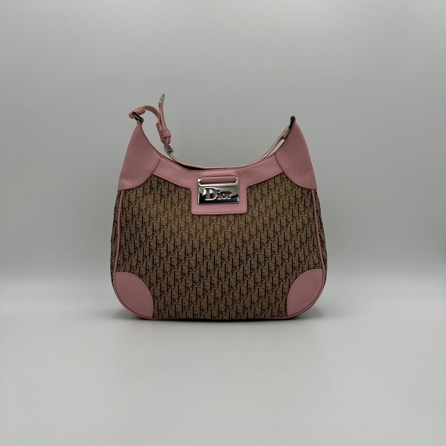 Christian Dior Brown Trotter Pink Leather Street Chic Hobo Bag