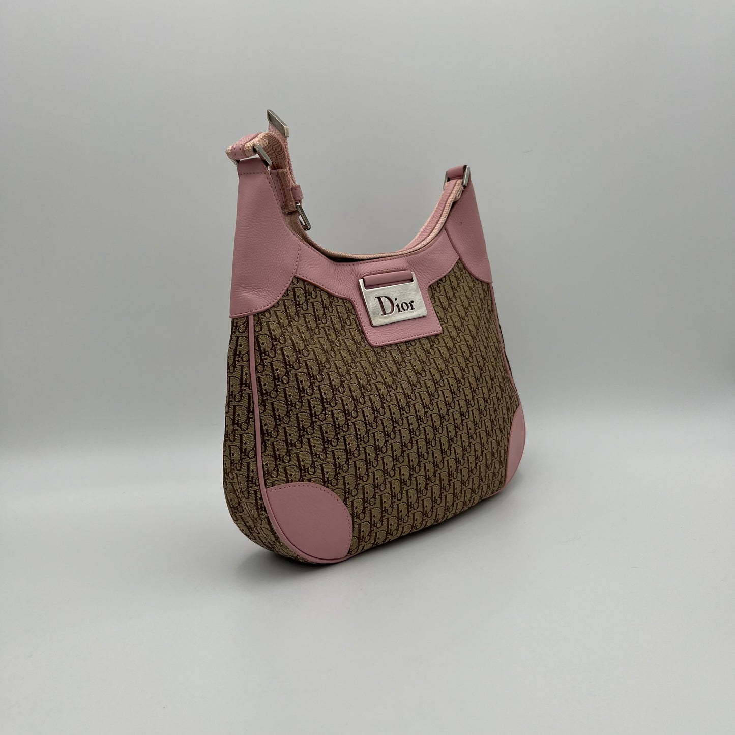 Christian Dior Brown Trotter Pink Leather Street Chic Hobo Bag