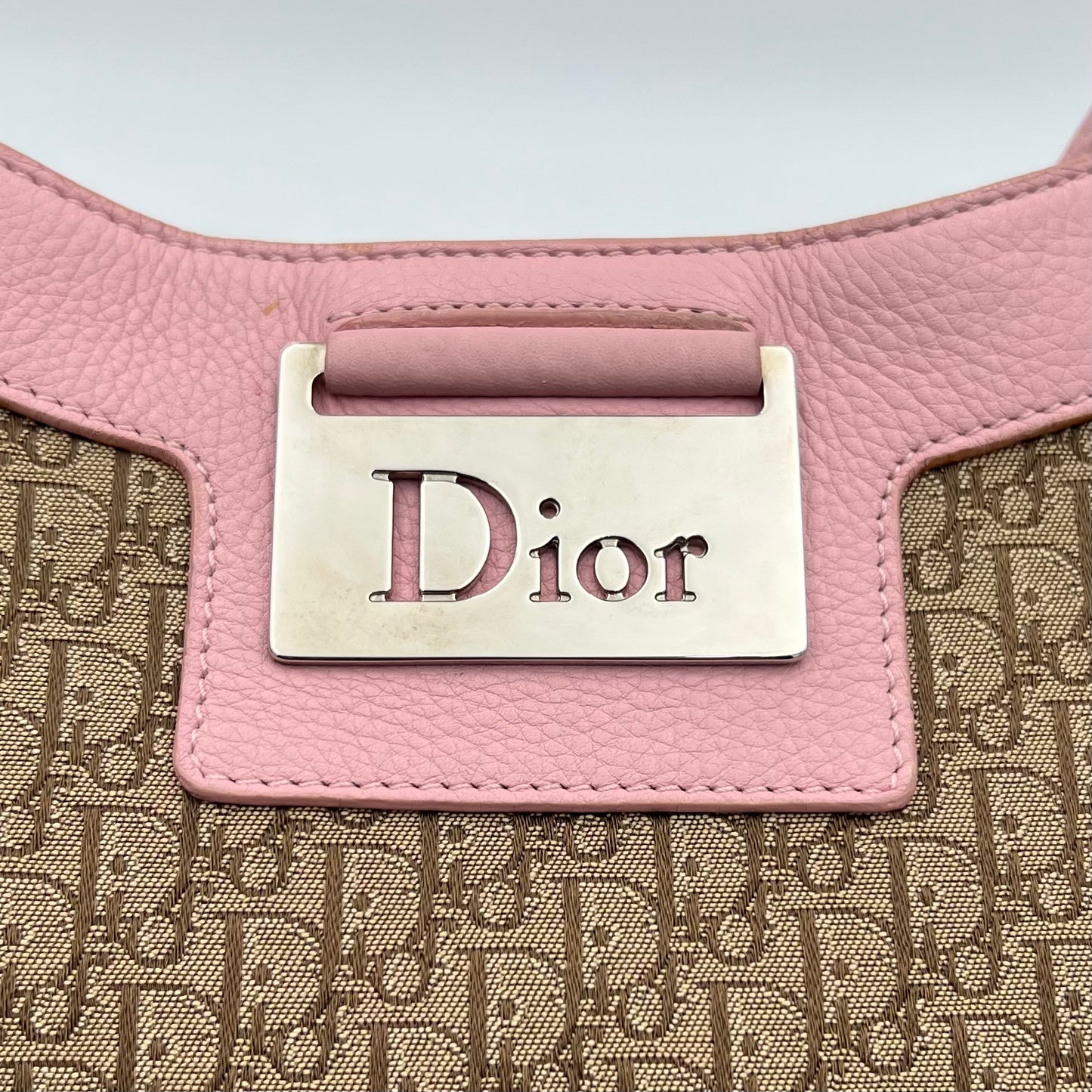 Christian Dior Brown Trotter Pink Leather Street Chic Hobo Bag