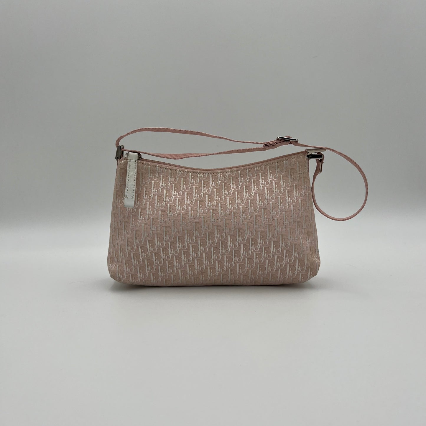 Christian Dior Pink Trotter Iridescent Canvas Pochette