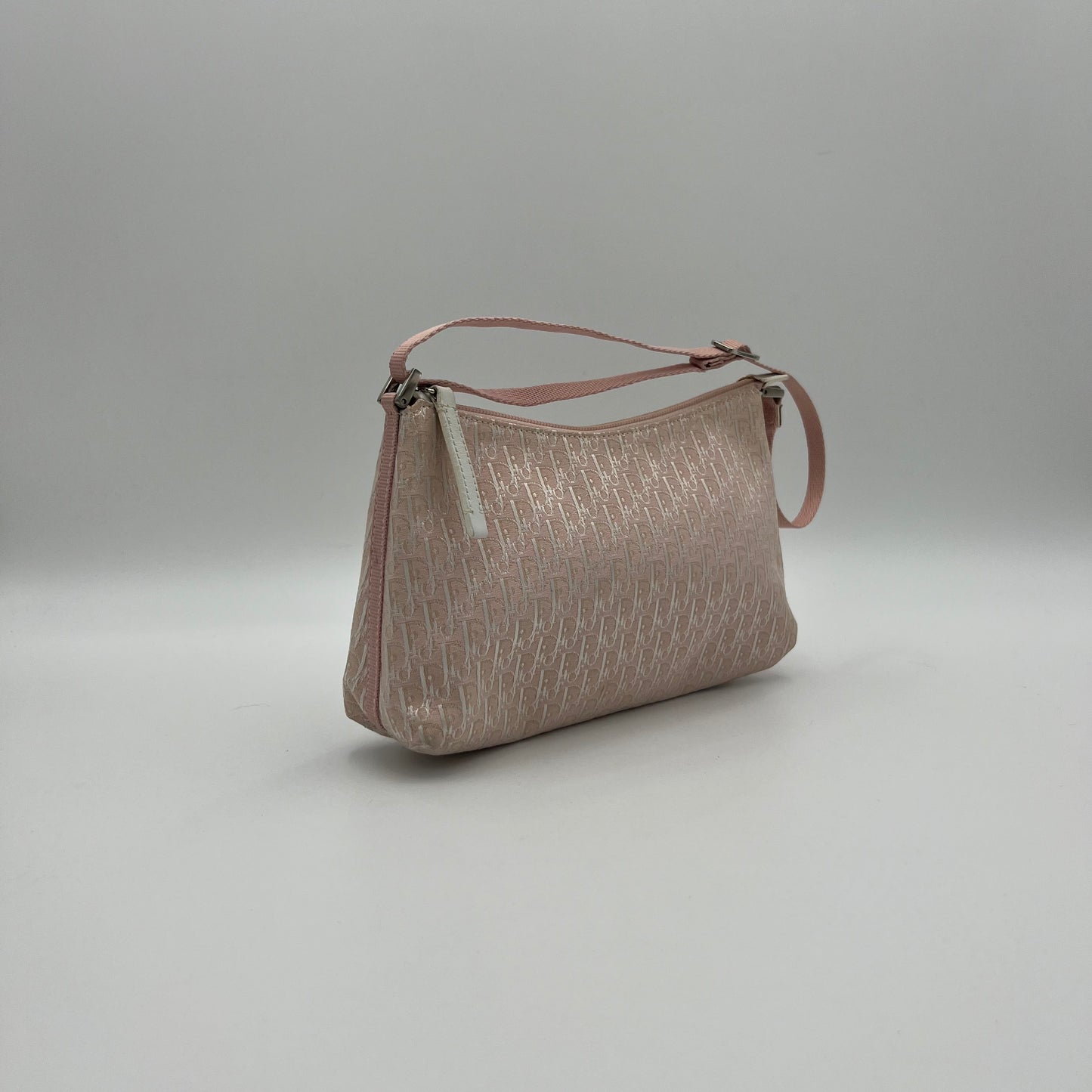 Christian Dior Pink Trotter Iridescent Canvas Pochette