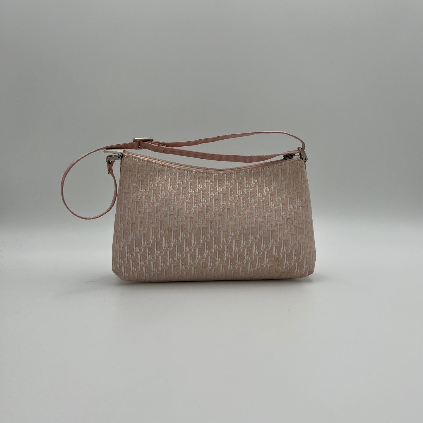 Christian Dior Pink Trotter Iridescent Canvas Pochette