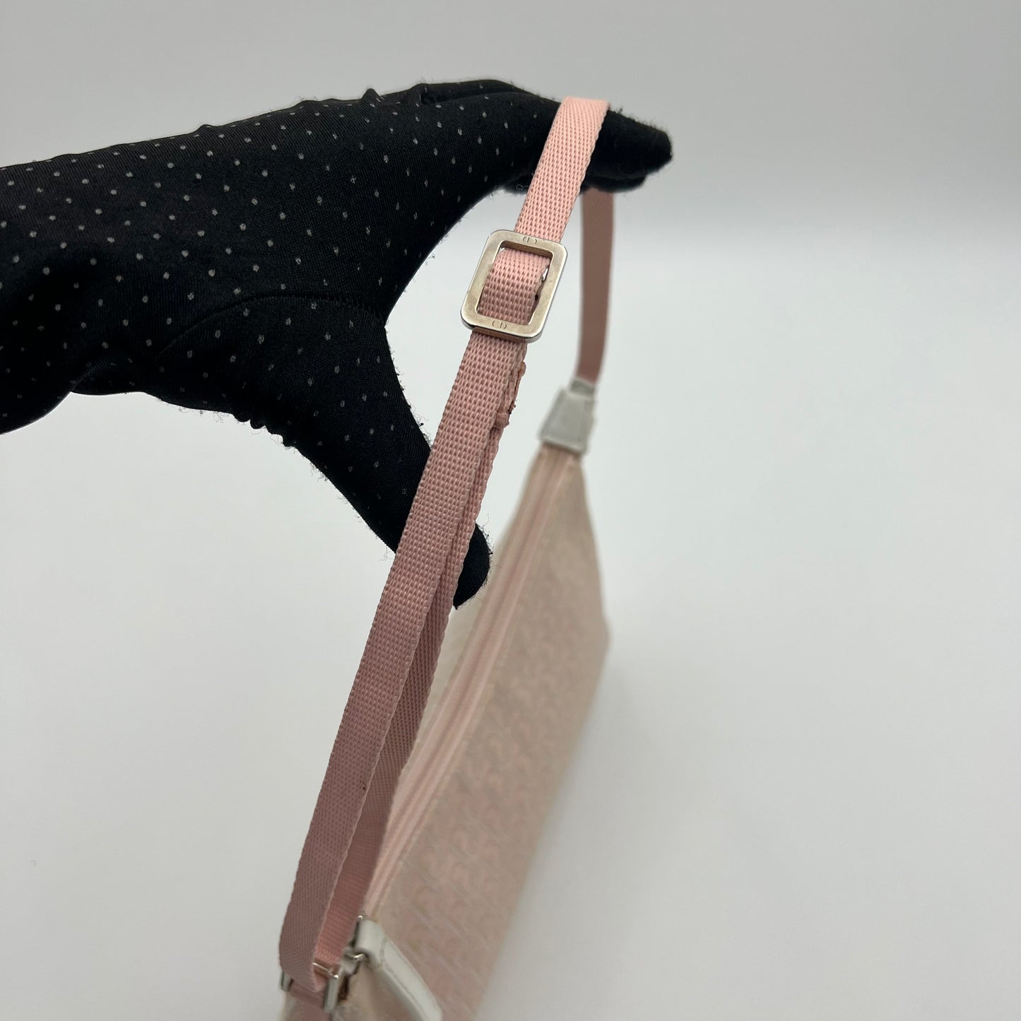 Christian Dior Pink Trotter Iridescent Canvas Pochette