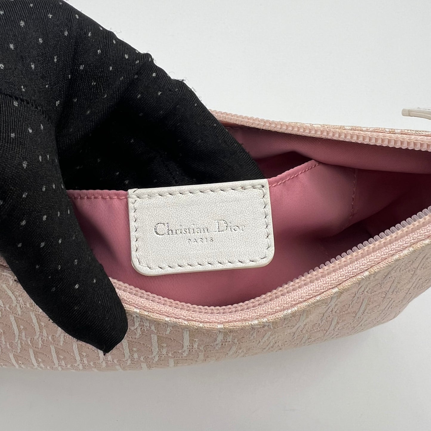 Christian Dior Pink Trotter Iridescent Canvas Pochette