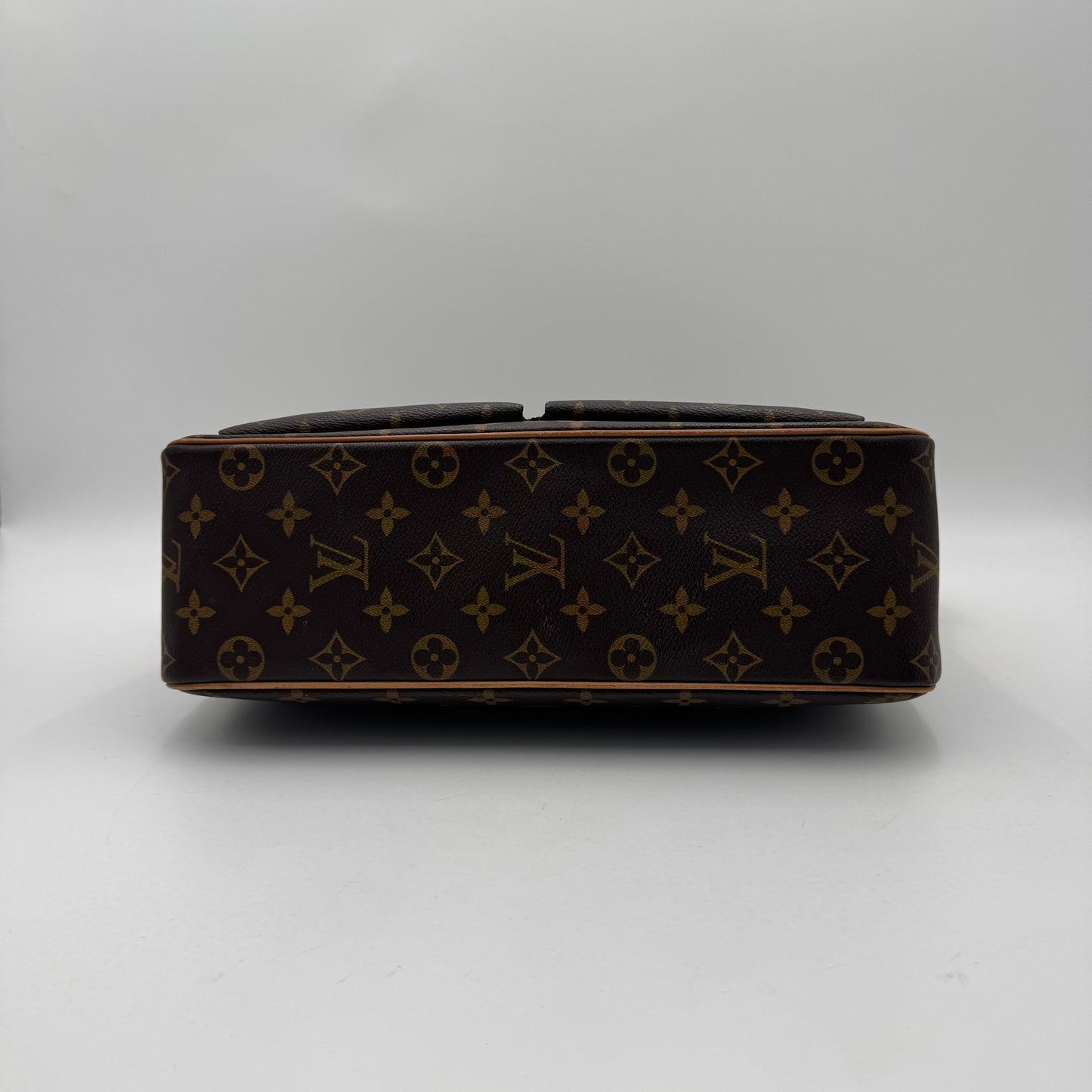 Louis Vuitton Monogram Viva Cite GM