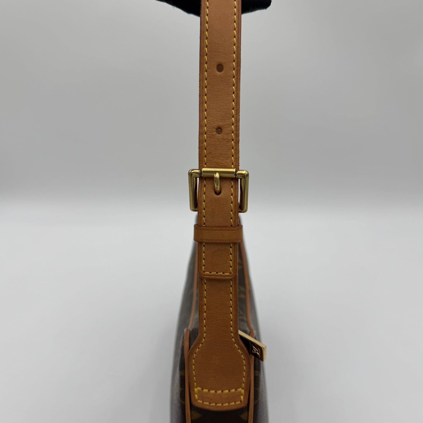Louis Vuitton Monogram Croissant PM