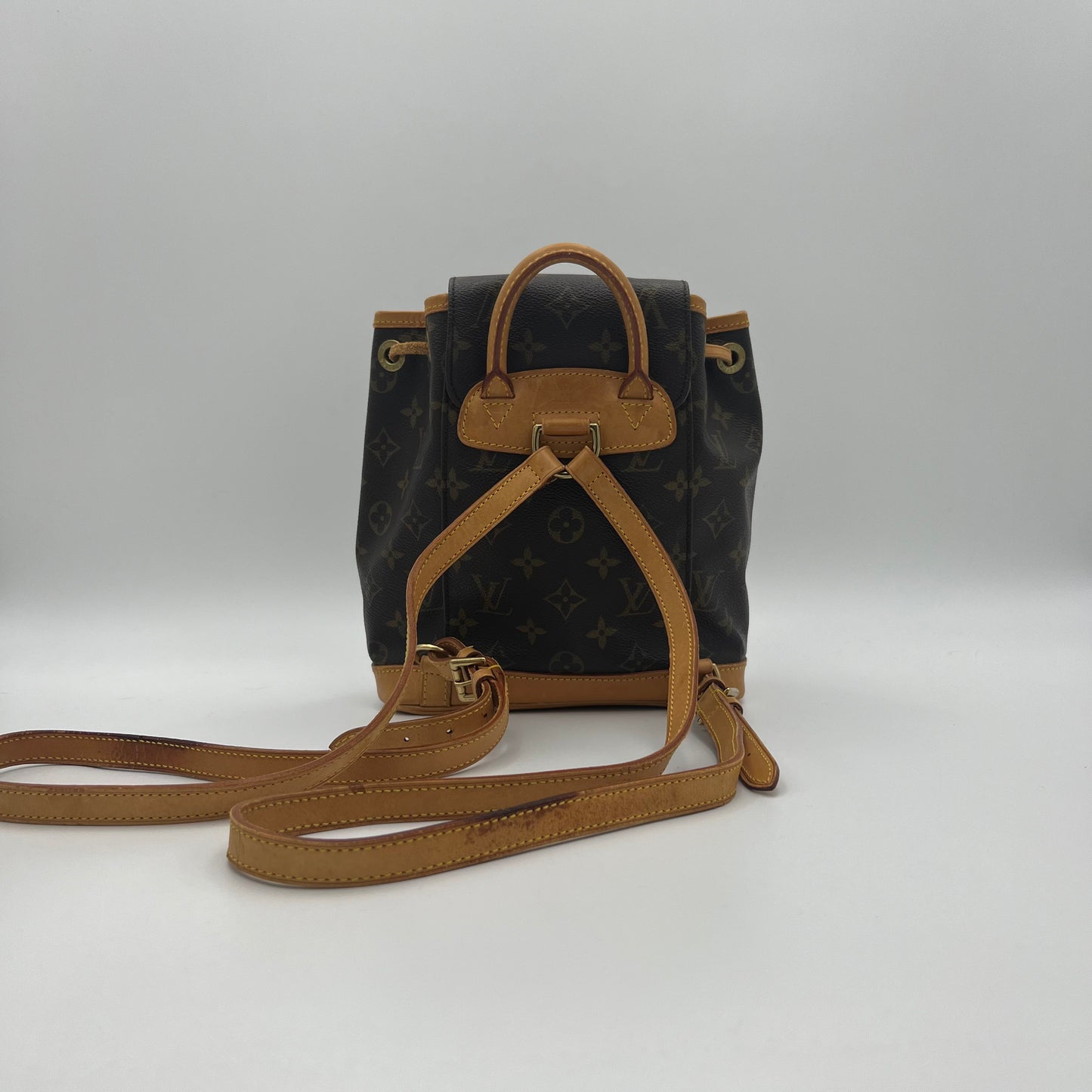 LV Monogram Montsouris PM
