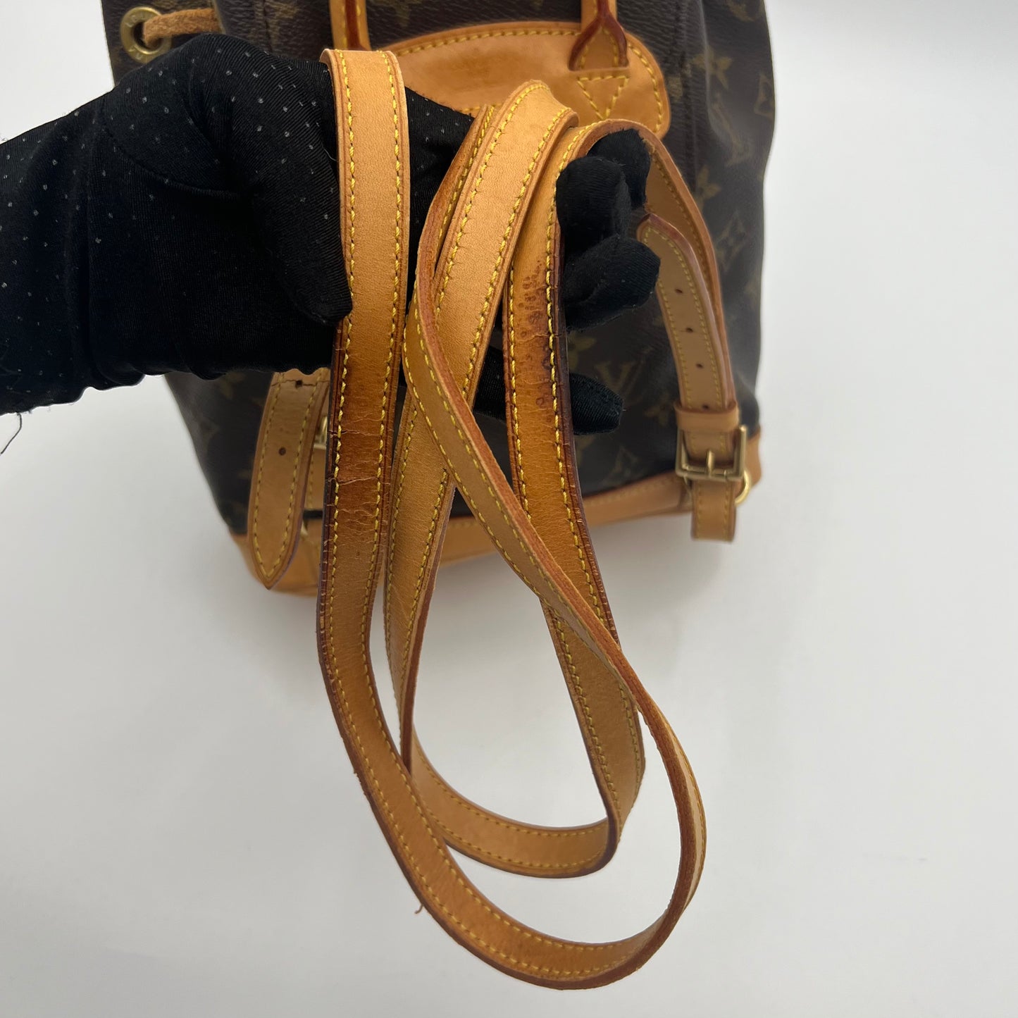 LV Monogram Montsouris PM