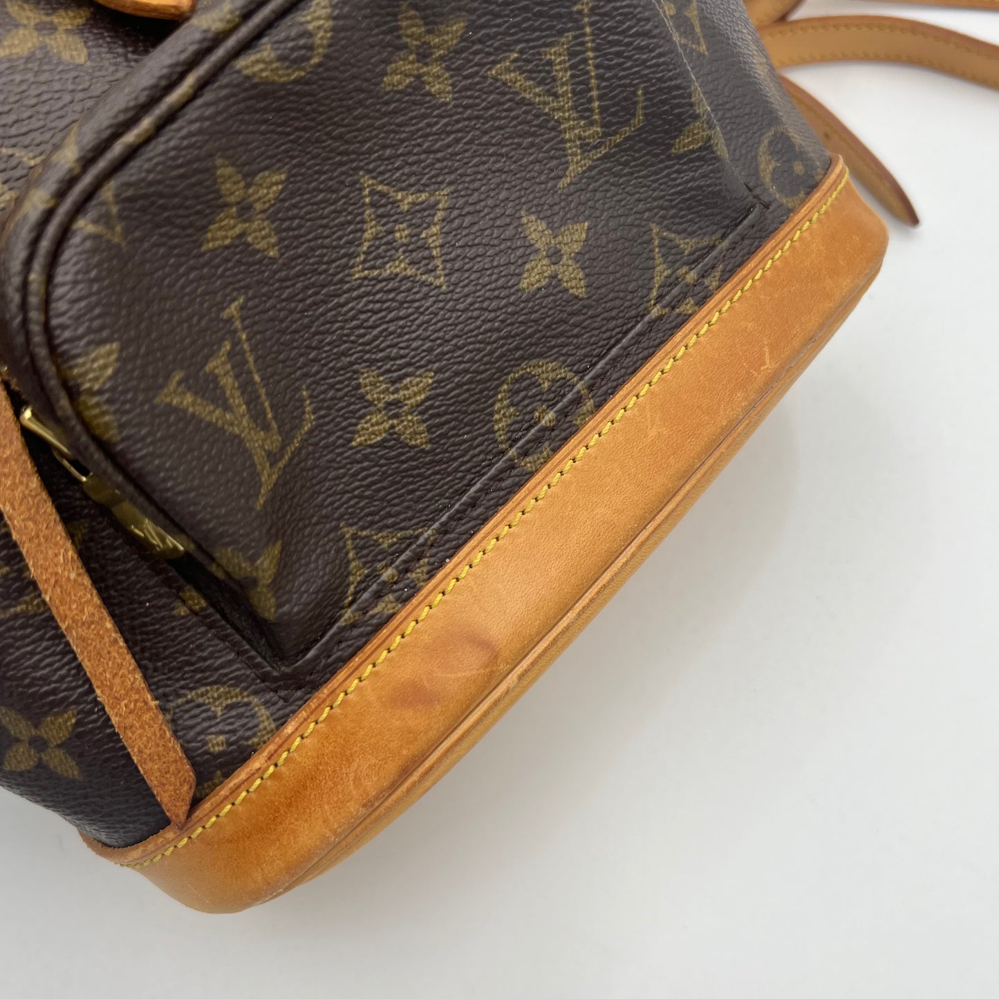LV Monogram Montsouris PM