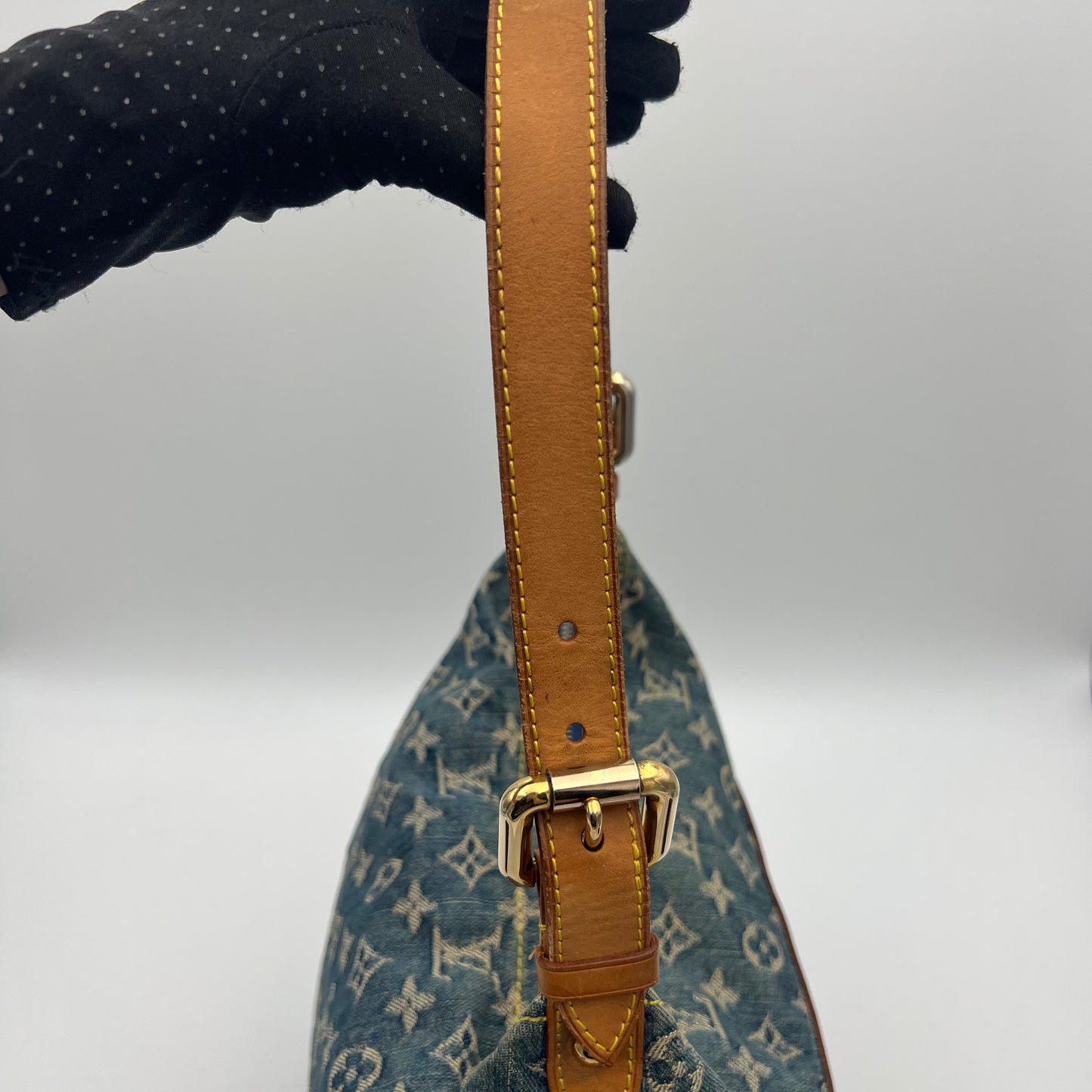LV Blue Monogram Denim Baggy GM
