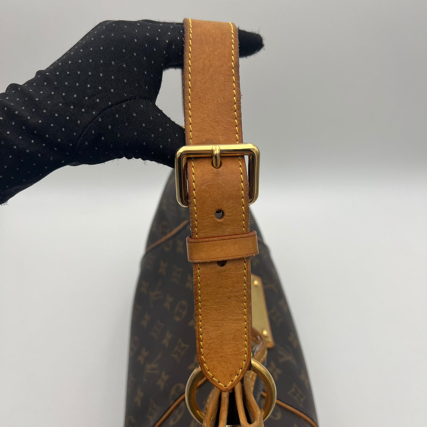 LV Monogram Thames PM